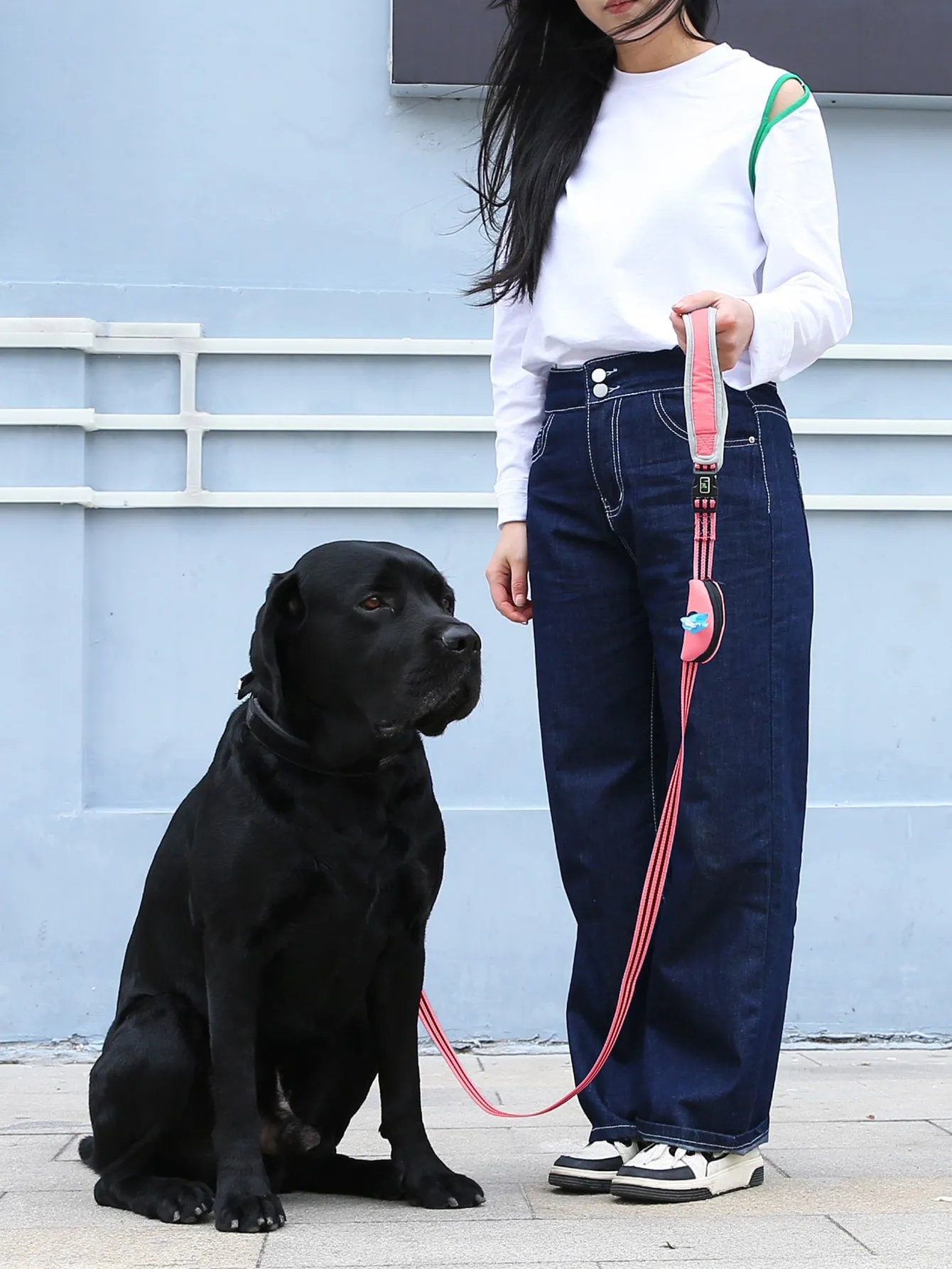 1pc Two Tone Pet Leash With Poopbag Dispenser 1roll Poopbag