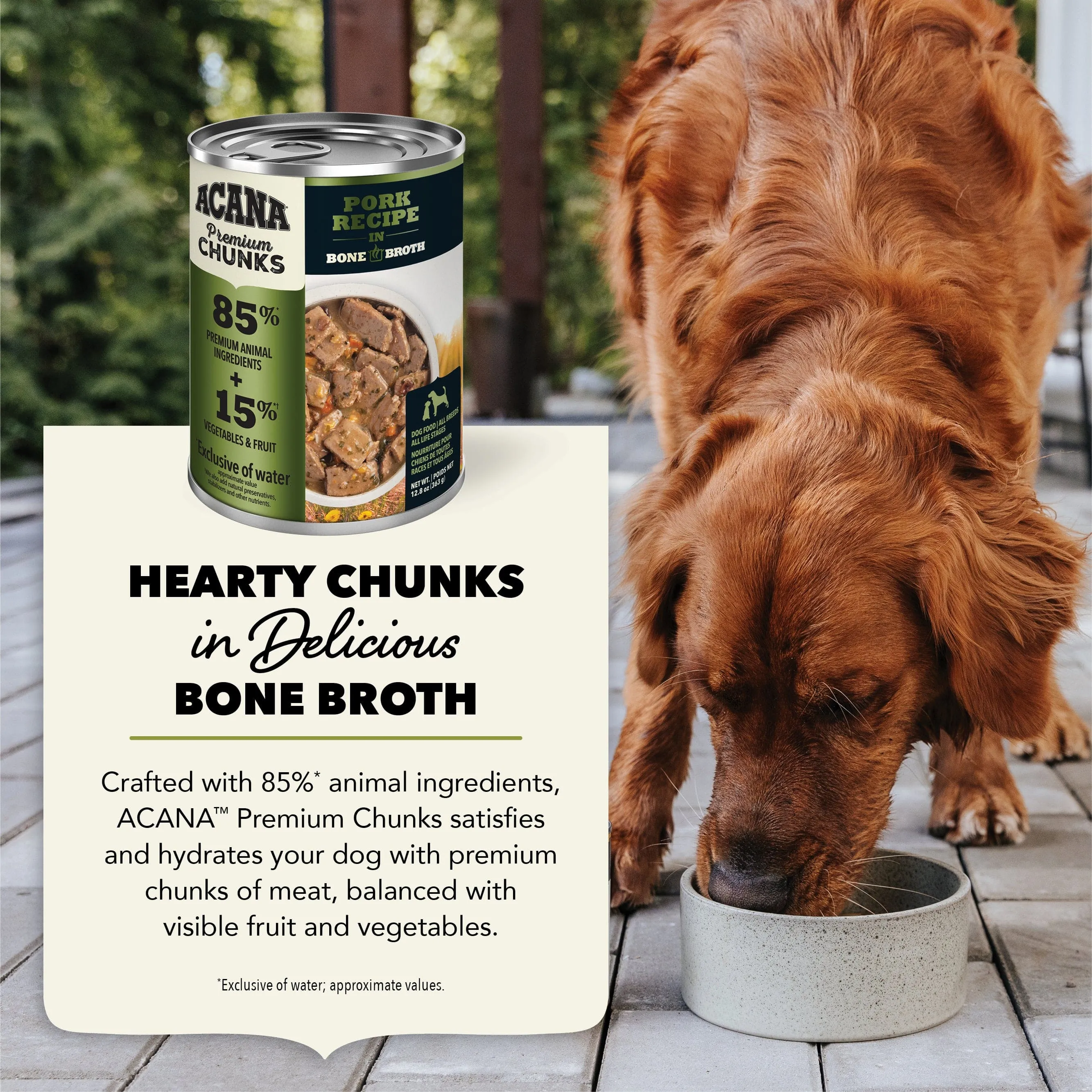 ACANA Pork Recipe in Bone Broth Canned Dog Food