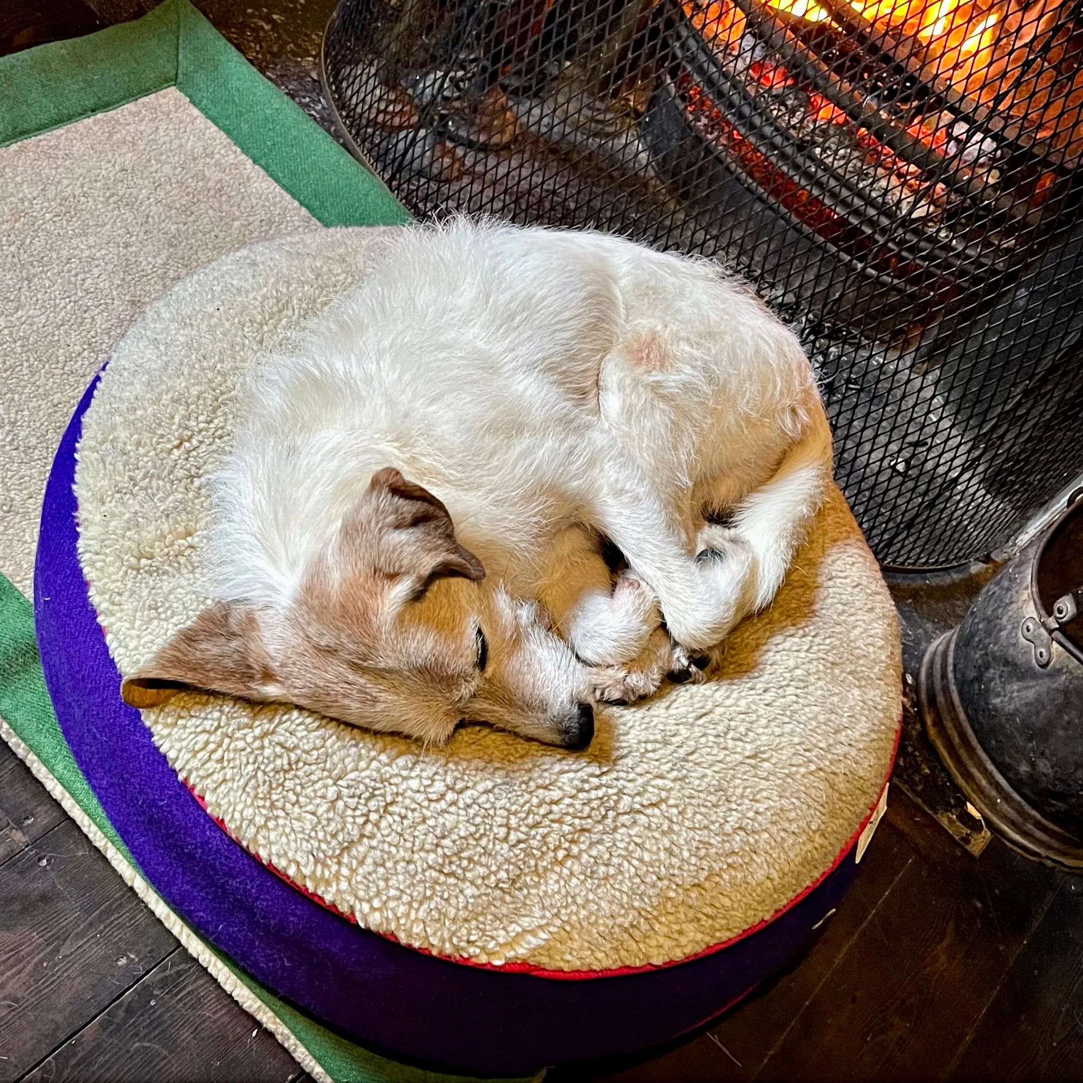 Ada Purple Luxury Harris Tweed Sustainable Dog Bed