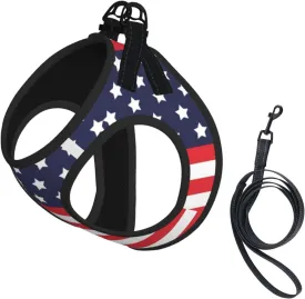 American Star Flag No Pull Dog Harness and Leash Set, Reflective Vest for Small Dogs, Adjustable Breathable Cute Classic Mesh Puppy Harness for Walking Hiking,Small