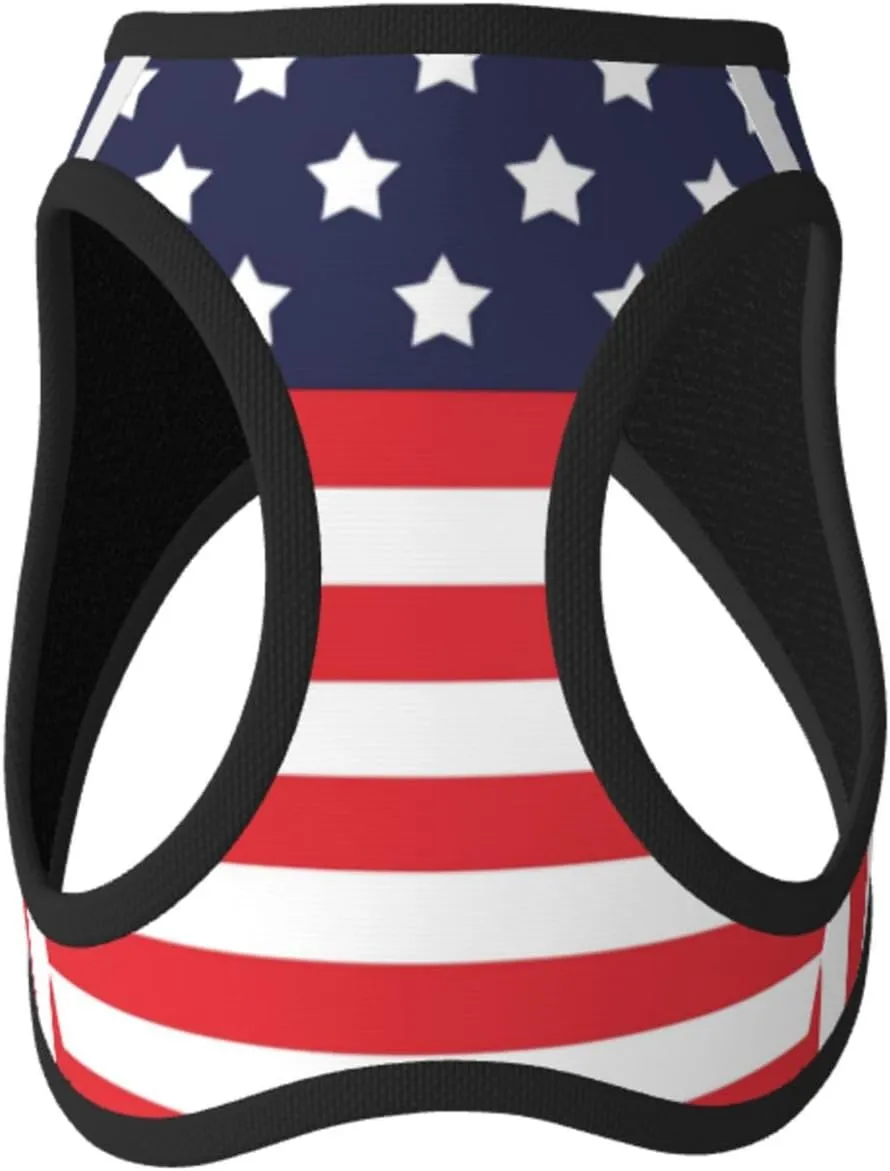 American Star Flag No Pull Dog Harness and Leash Set, Reflective Vest for Small Dogs, Adjustable Breathable Cute Classic Mesh Puppy Harness for Walking Hiking,Small