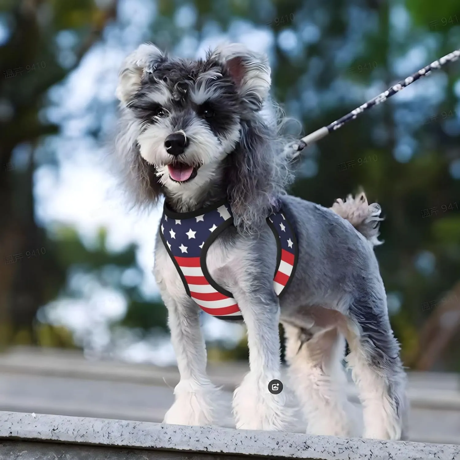 American Star Flag No Pull Dog Harness and Leash Set, Reflective Vest for Small Dogs, Adjustable Breathable Cute Classic Mesh Puppy Harness for Walking Hiking,Small