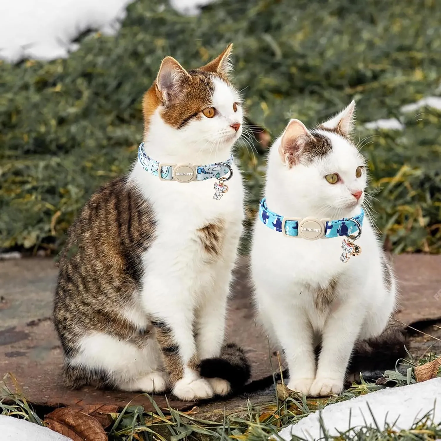 ARING PET 2 Pack Cat Collars-Cute Breakaway Cat Collar with Bell & Pendant, Adjustable Blue Whales&Dinosaur Pattern Kitten Collars with Safety Buckle for Girl and Boy Cats