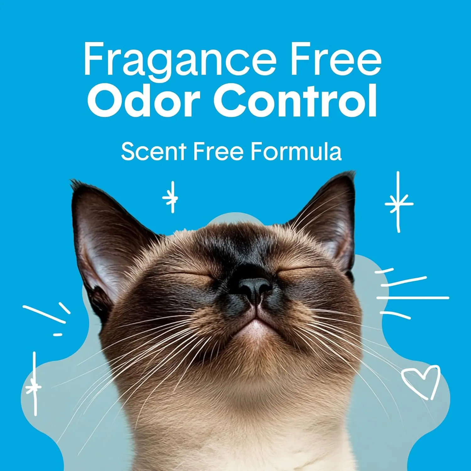 Boxie Unscented 30 Day Natural Odor Control Cat Litter, 40lb Clumping Clay Kitty Litter