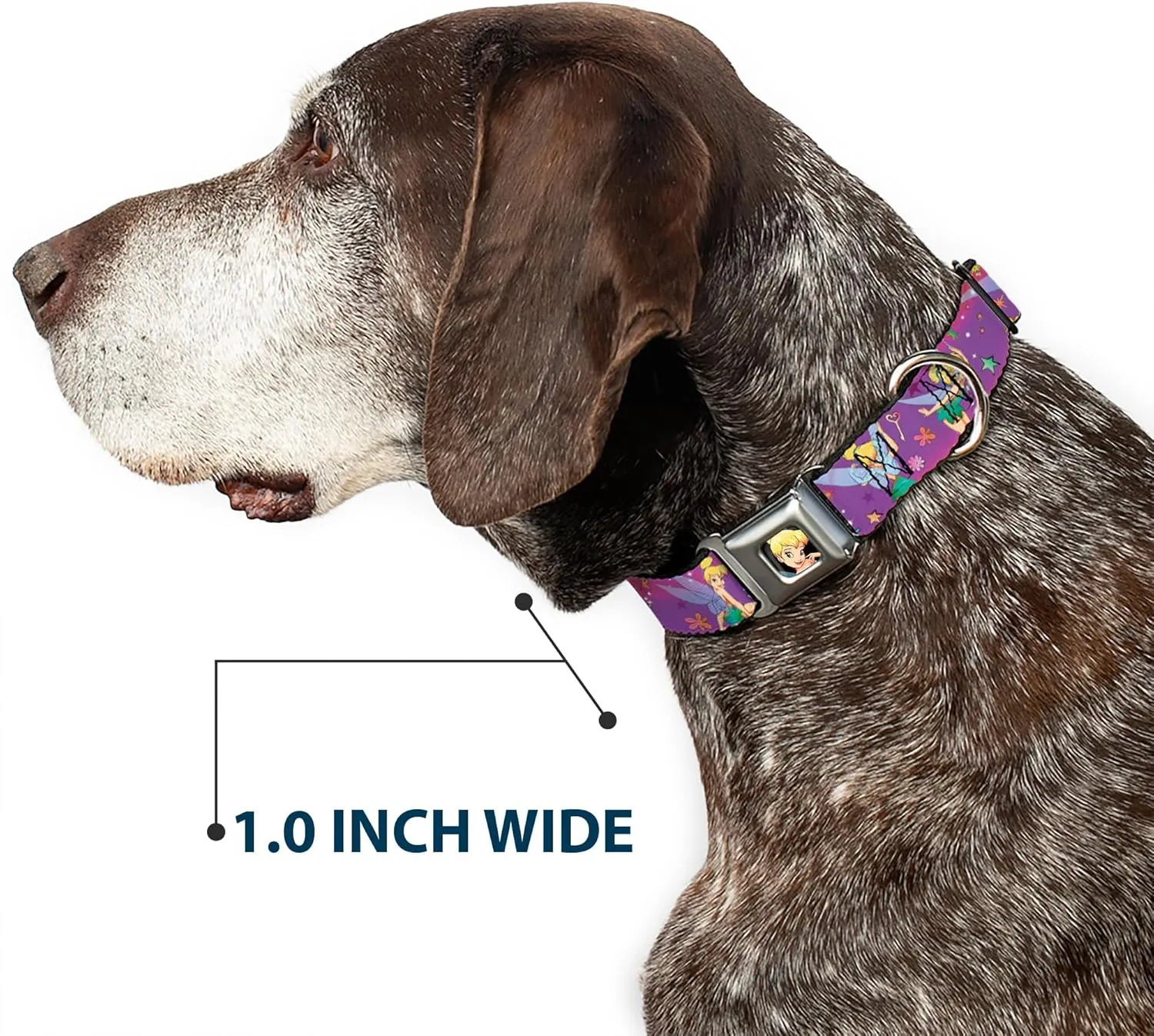 Buckle-Down Seatbelt Buckle Dog Collar - Tinker Bell Poses/Flowers/Stars/Skull Purple - 1" Wide - Fits 11-17" Neck - Medium