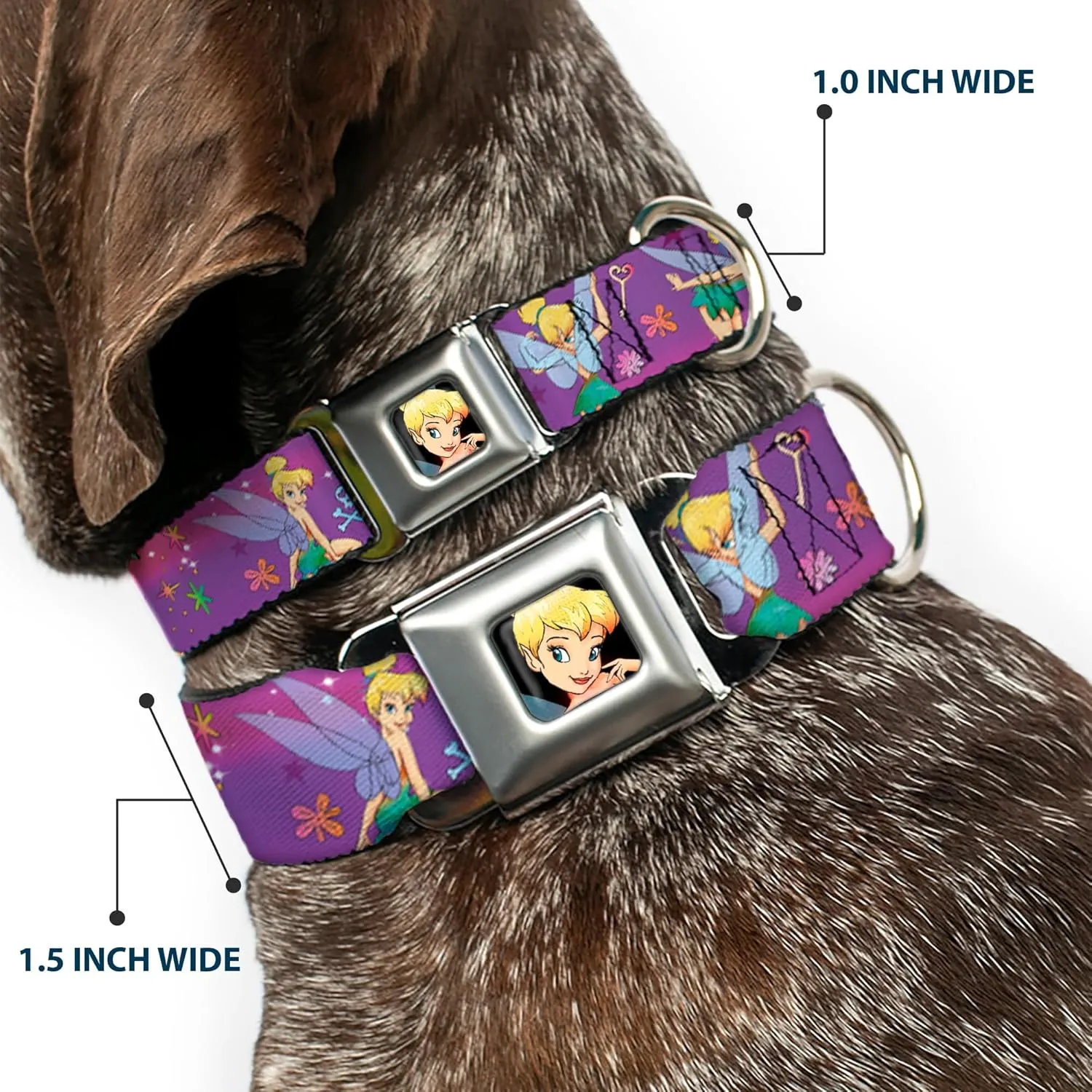 Buckle-Down Seatbelt Buckle Dog Collar - Tinker Bell Poses/Flowers/Stars/Skull Purple - 1" Wide - Fits 11-17" Neck - Medium