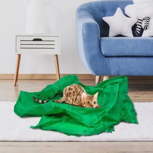 Cat Carpet Toy