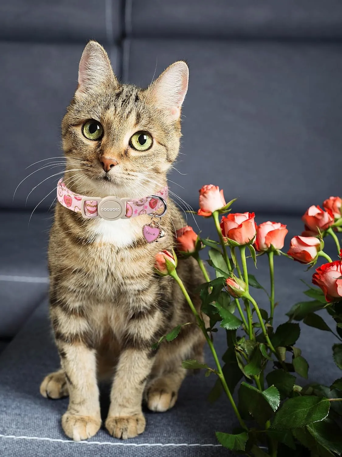 Cat Collar,2 Pack Cat Collars Breakaway with Bell, DOGWONG Safety Buckle Valentine's Day Cat Collar Pink Red Heart for Girl Boy Cats and Small DogsAdjustable 7-12 Inch,Pet Supplies Accessories