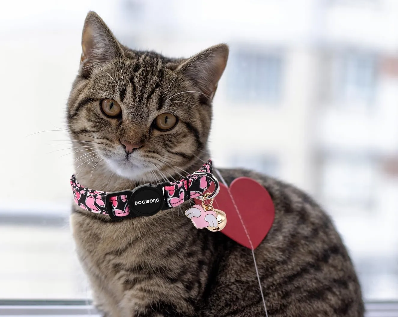 Cat Collar,2 Pack Cat Collars Breakaway with Bell, DOGWONG Safety Buckle Valentine's Day Cat Collar Pink Red Heart for Girl Boy Cats and Small DogsAdjustable 7-12 Inch,Pet Supplies Accessories