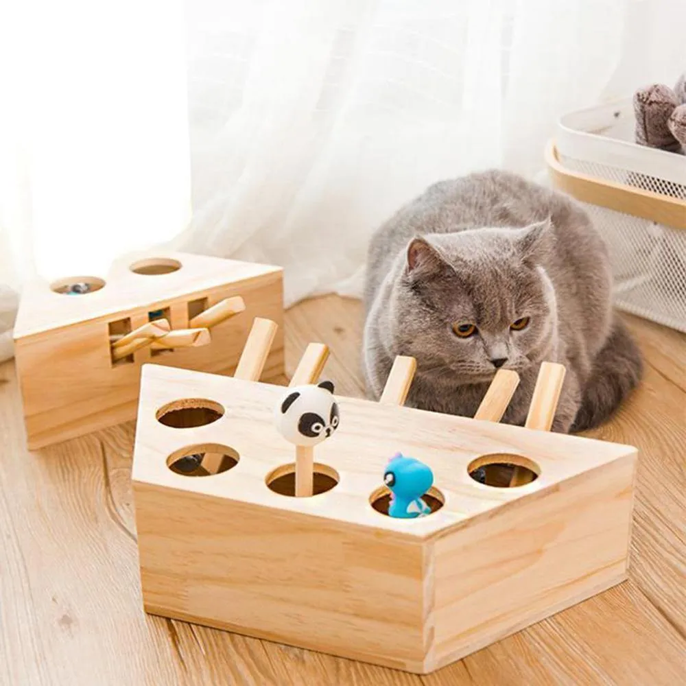 Chase Mouse Cat Toy