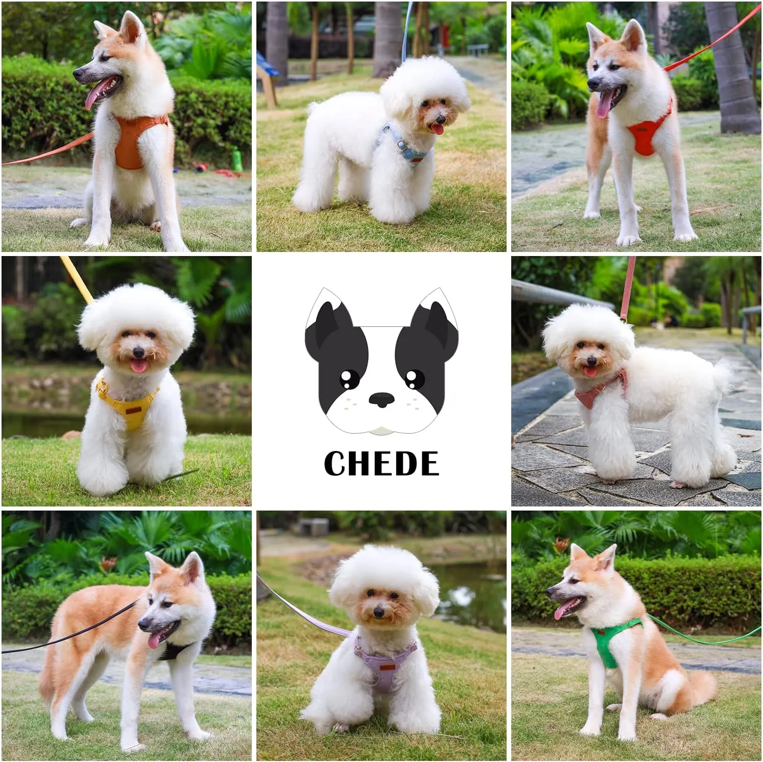 CHEDE No Pull Puppy Harness and Multifunction Dog Leash Set- 8 Colors Soft Adjustable No Choke Escape Proof Cute,Lightweight Pet Vest Harness for Small and Medium Dog (XS, Blue)