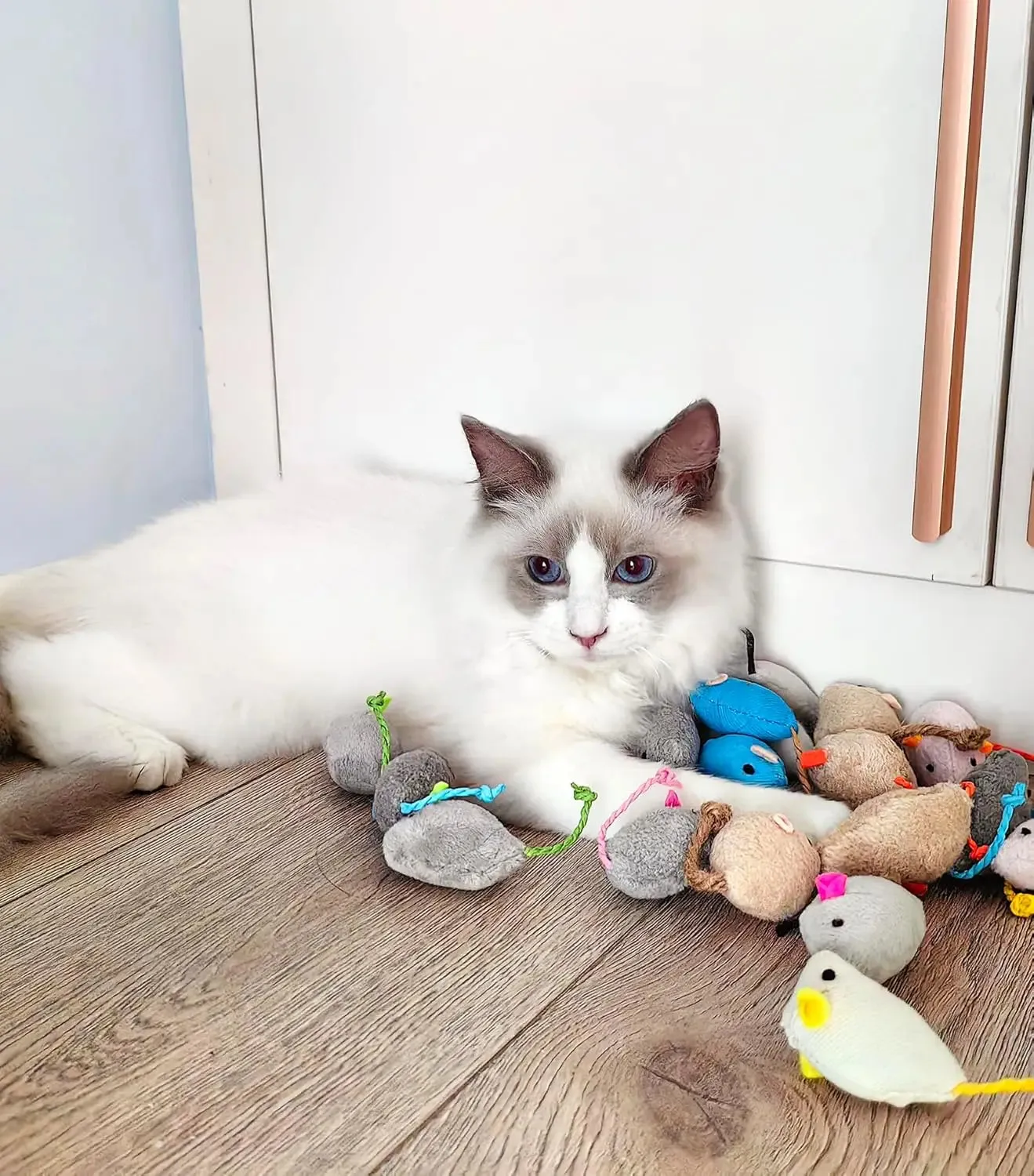 Colorful Catnip-Infused Plush Mice Toys