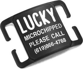 Deep Laser Custom Font Engraved Slide-On Pet ID Name Tags for Dogs & Cats, Customized Silent, No Noise Collar Tags, PVD Black Stainless Steel, 5 Lines of Personalized Text - Extra Large