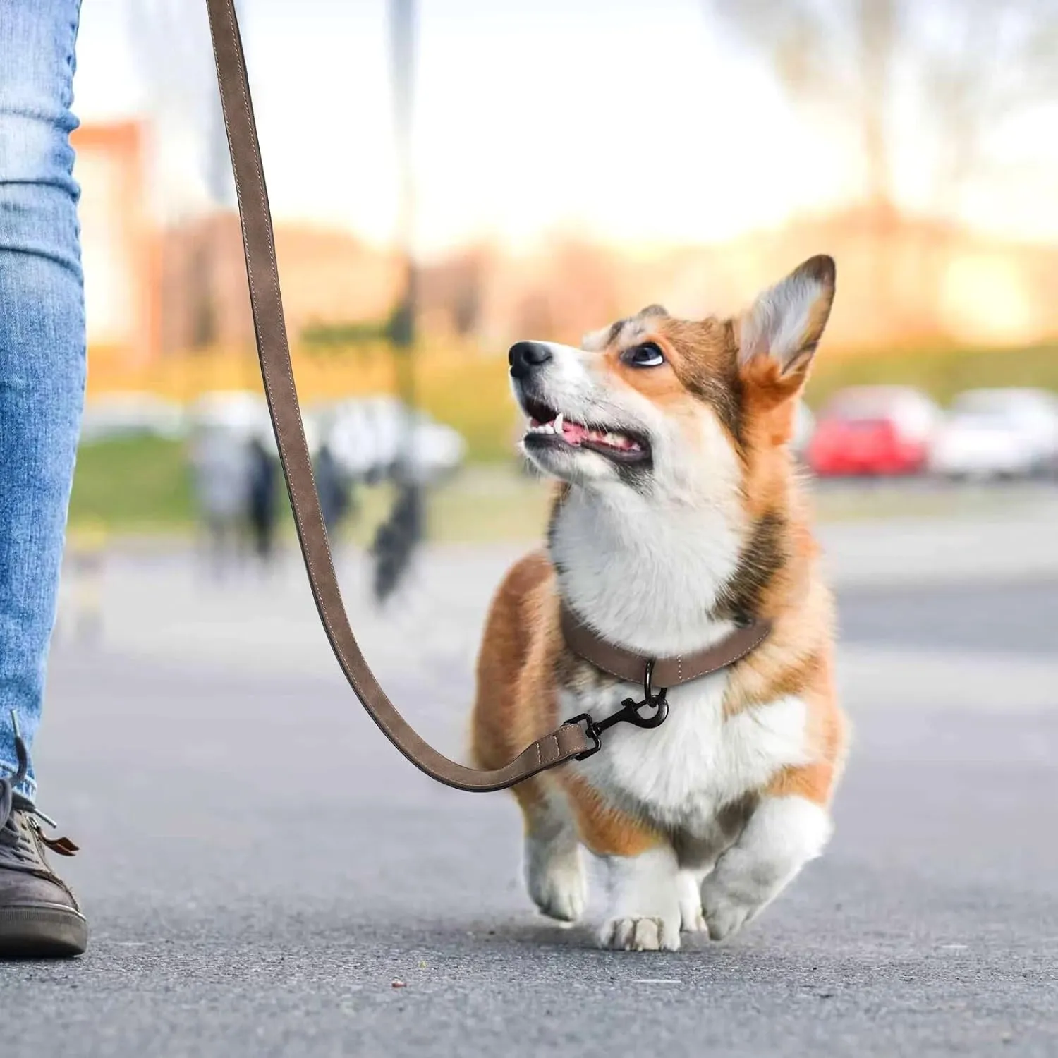 Didog Soft Padded Leather Dog Collar and Leash Set, Heavy Duty Dog Leash and Collar Set with Metal Buckle, Breathable Dog Collars with 4FT Leather Dog Leash for Small MediumDogs, Brown, M