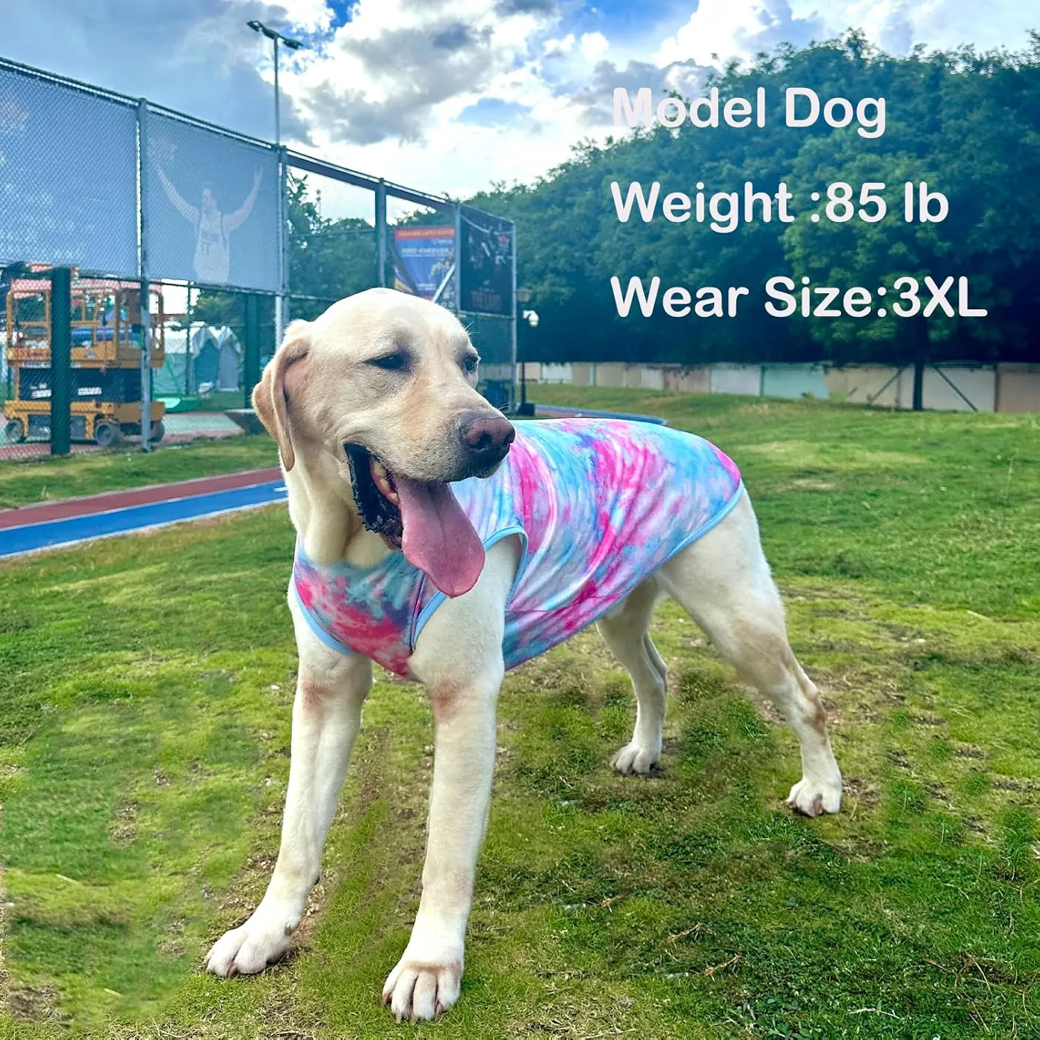 Dog Tie dye Sleeveless T Shirt Colorful Pink Printed Dogs Vest Shirt Pajamas Breathable Stretchy Summer Clothes for Large Dog Boys Girls2X-Large,Pink