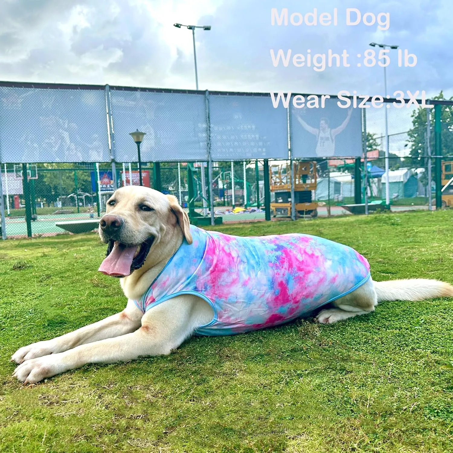 Dog Tie dye Sleeveless T Shirt Colorful Pink Printed Dogs Vest Shirt Pajamas Breathable Stretchy Summer Clothes for Large Dog Boys Girls2X-Large,Pink