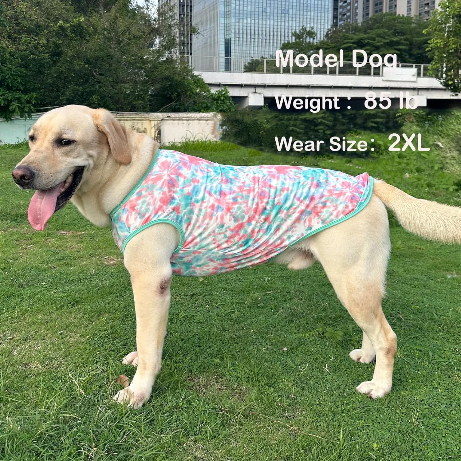 Dog Tie dye Sleeveless T Shirt Green Red Printed Dogs Vest Shirt Pajamas Breathable Stretchy Summer Clothes for Extra Large Dog Boys Girls2X-Large,Green