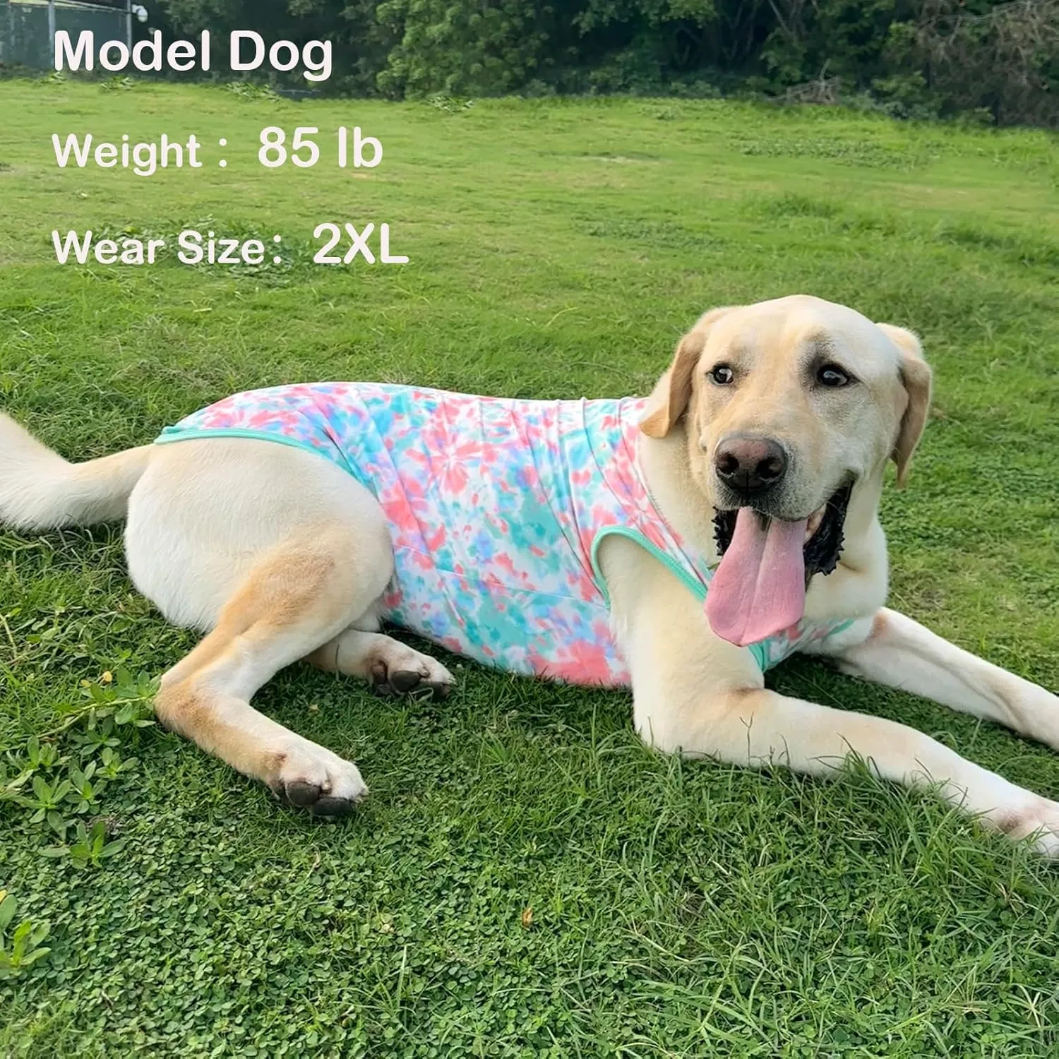 Dog Tie dye Sleeveless T Shirt Green Red Printed Dogs Vest Shirt Pajamas Breathable Stretchy Summer Clothes for Extra Large Dog Boys Girls2X-Large,Green