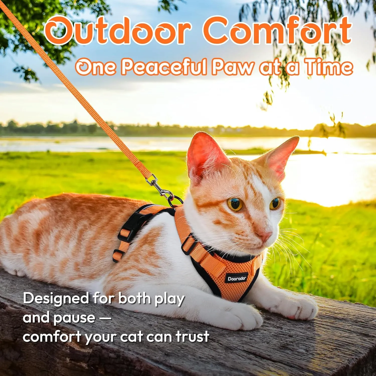 Dooradar Cat Harness and Leash Set, Escape Proof Safe Adjustable Kitten Vest Harnesses for Walking, Easy Control Soft Breathable Mesh Jacket with Reflective Strips for Cats, Orange, XS