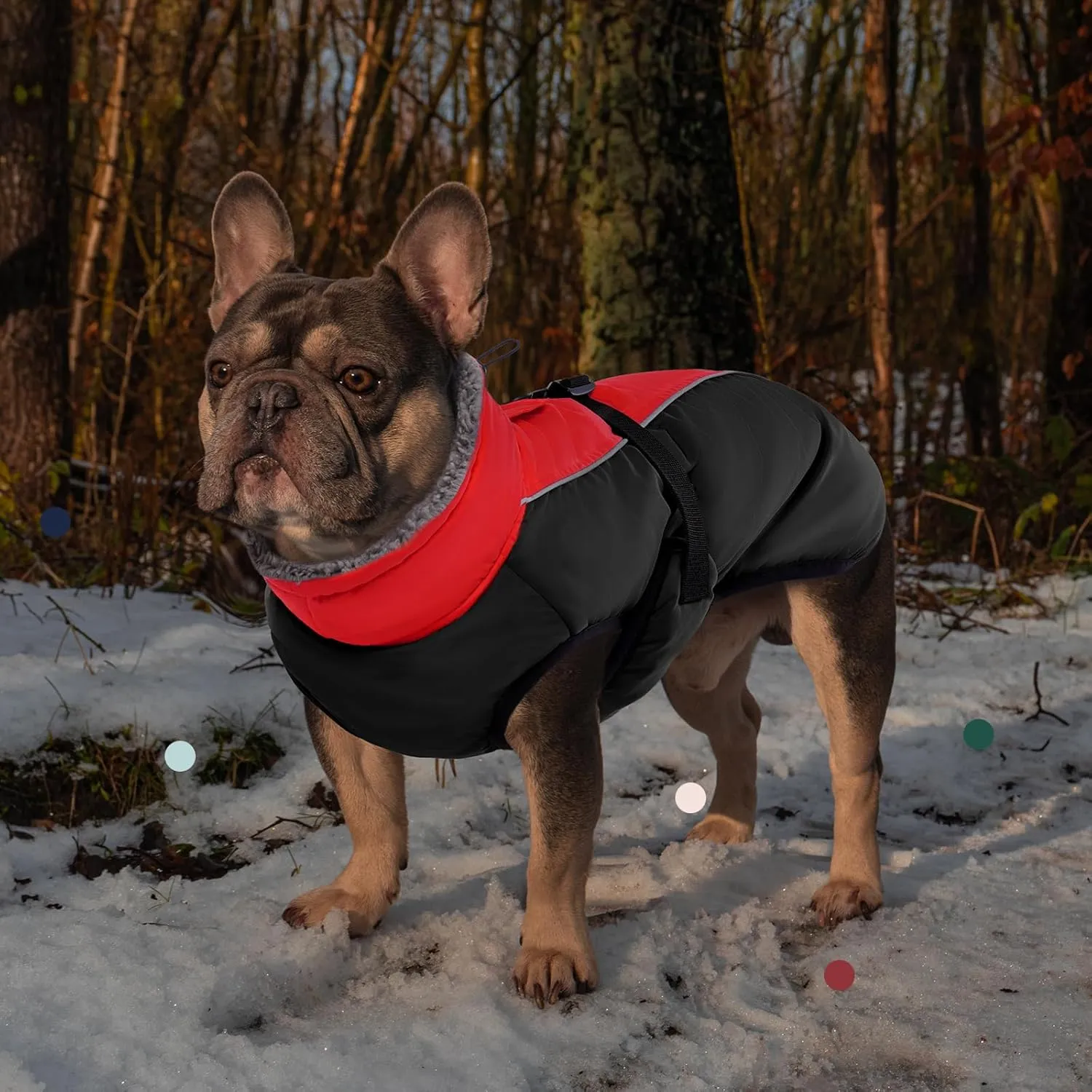 IECOii Extra Warm Dog Coat Reflective Adjustable Dog Jacket Dog Winter Coat with Buckle Fleece Turtleneck Dog Jacket for Cold Weather Soft Winter Coat for Small Medium Extra Large Dogs