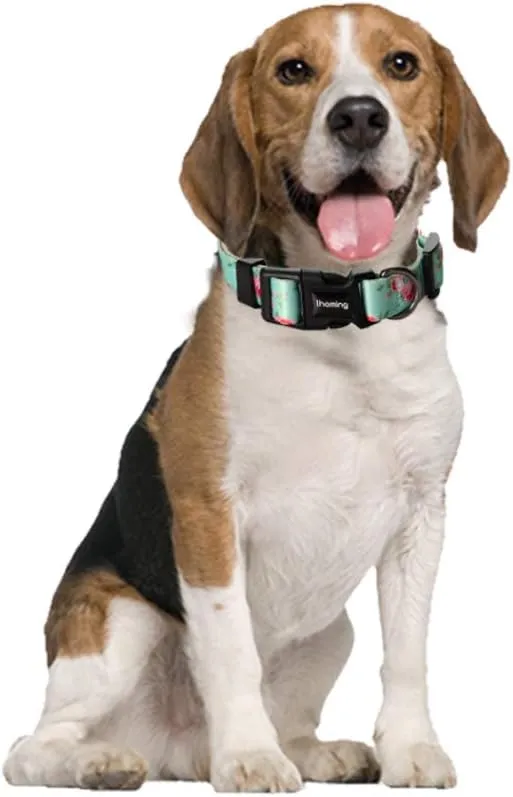 Ihoming Dog Collar and Leash Set for Daily Outdoor Walking Running Training, Floral Spring Design for Medium Boys Girls Dogs Cats Pets, M-Up to 45LBS
