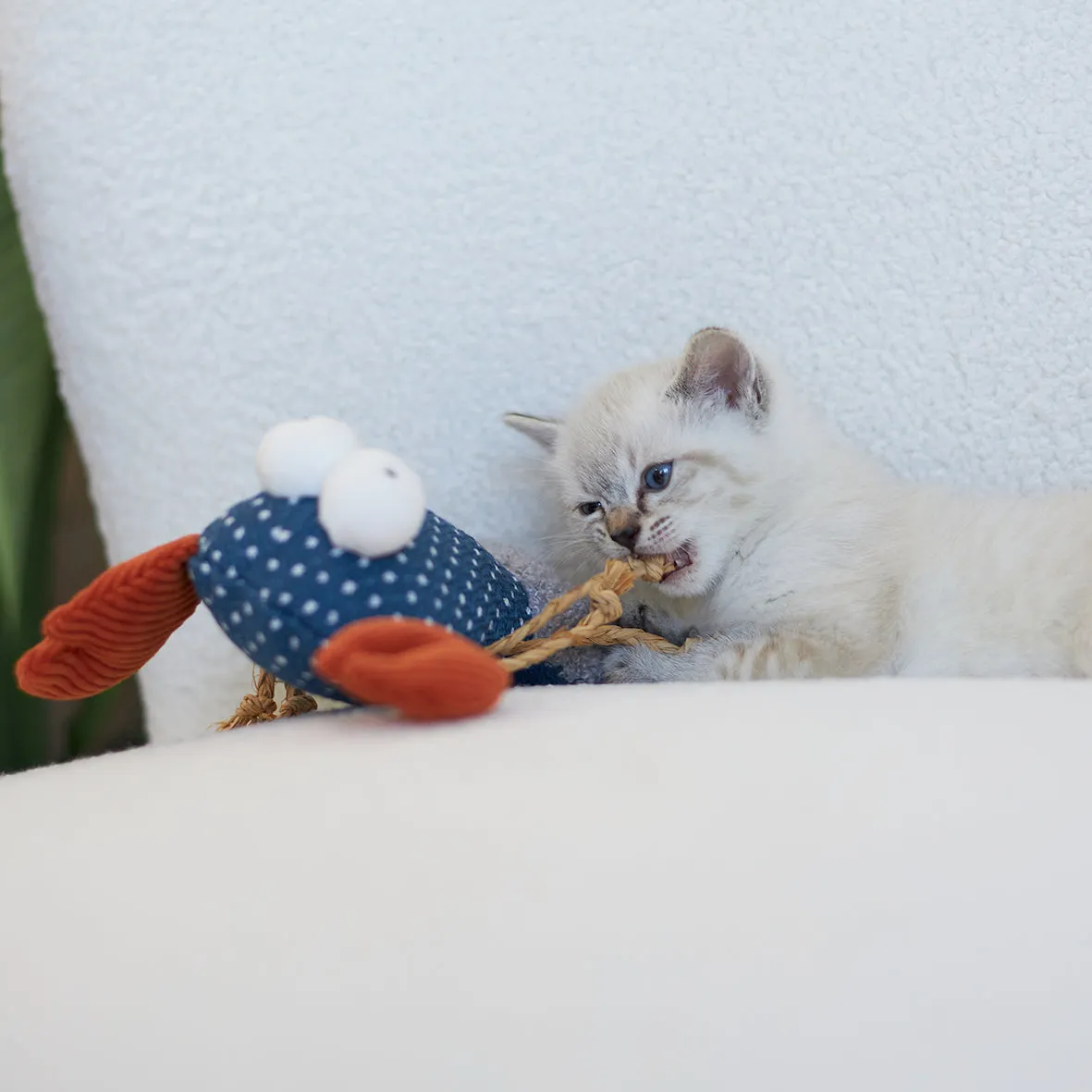 Kazoo Snappy Lobster Cat Toy^^^