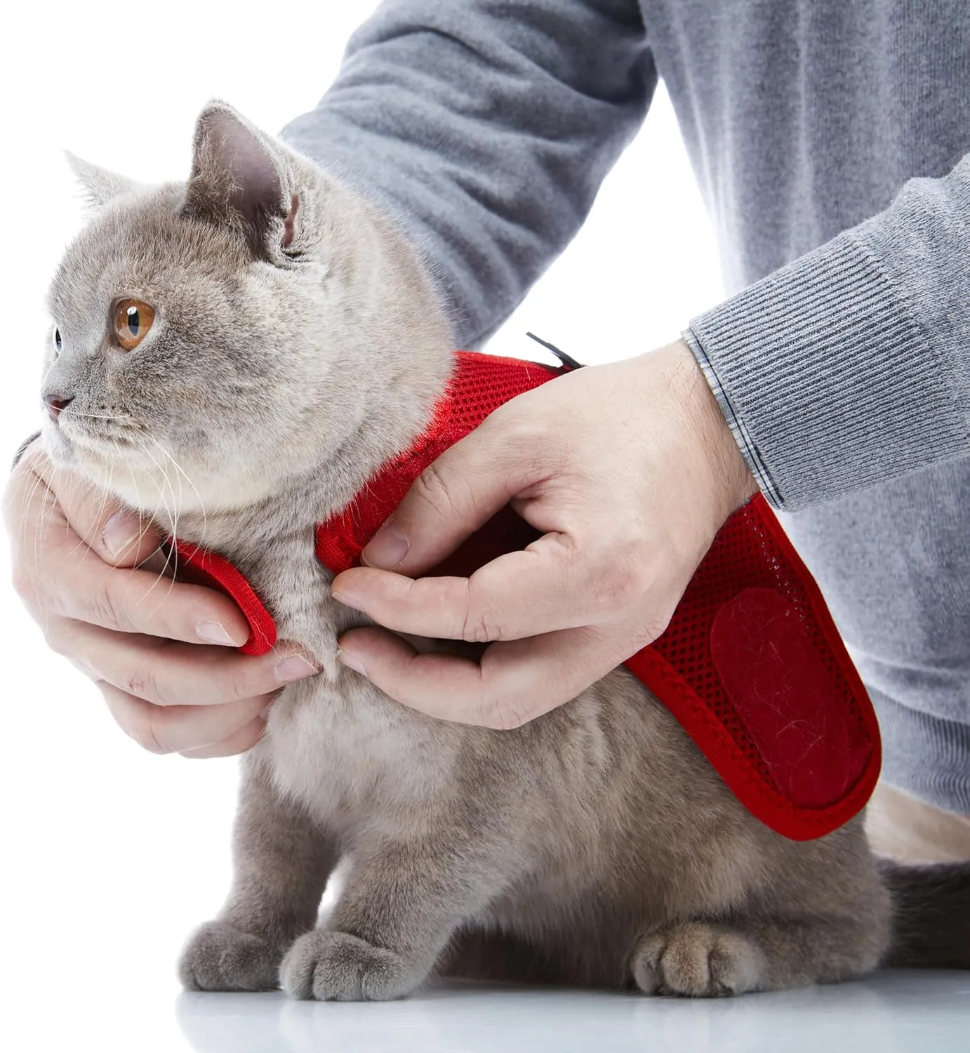 Kitten Harness and Leash Set with Reflective Strip, Cat Harness and Leash Set Escape Proof, Adjustable, Travel, Cat Vest