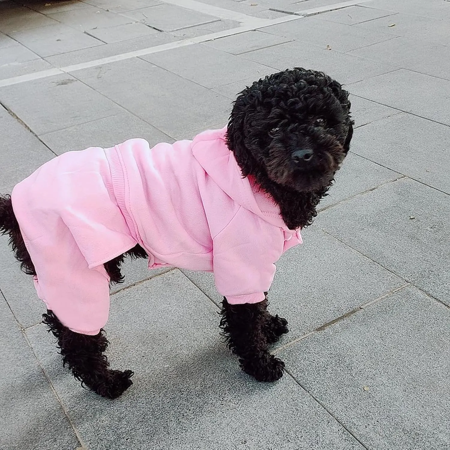 LifeWheel Dog Hoodie, Pet Jumpsuit Fleece Sweatshirt with Buttons, Clothes, Cold Weather Coats, Pajamas, Winter Warm Cotton Puppy Hoodie 4 Legs Clothes for Small Medium Large Dogs Cats Boy Girl