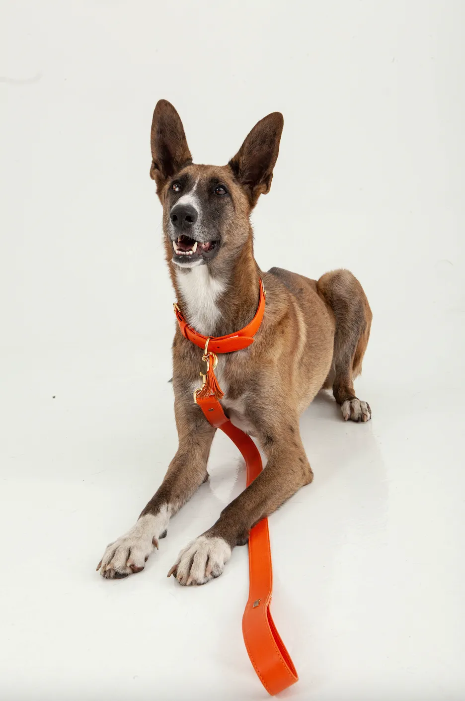 Orange leather leash
