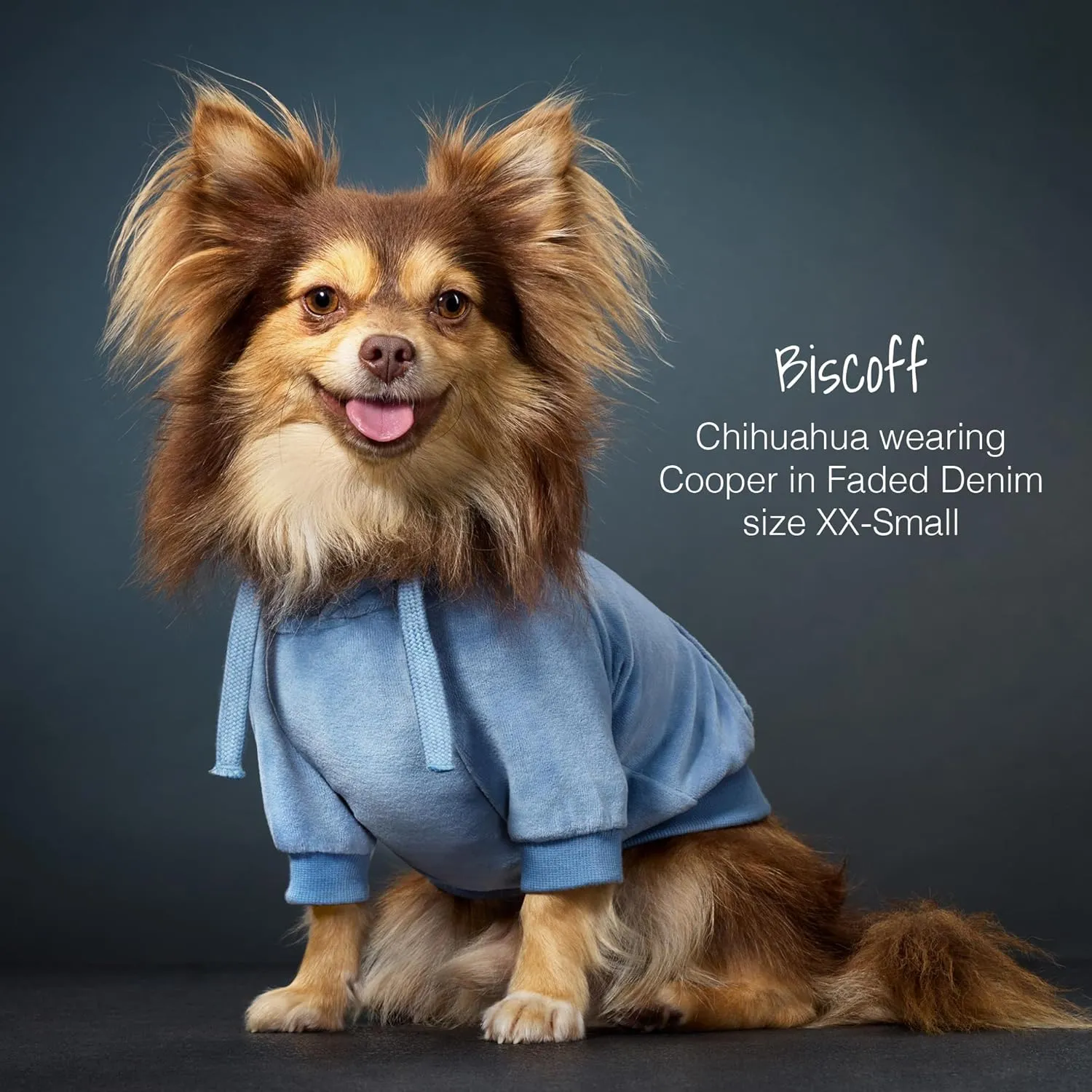 Organic Cotton Velour Dog Hoodie Pet Coat for Small, Medium and Large Dogs, Faded Denim, X-Small