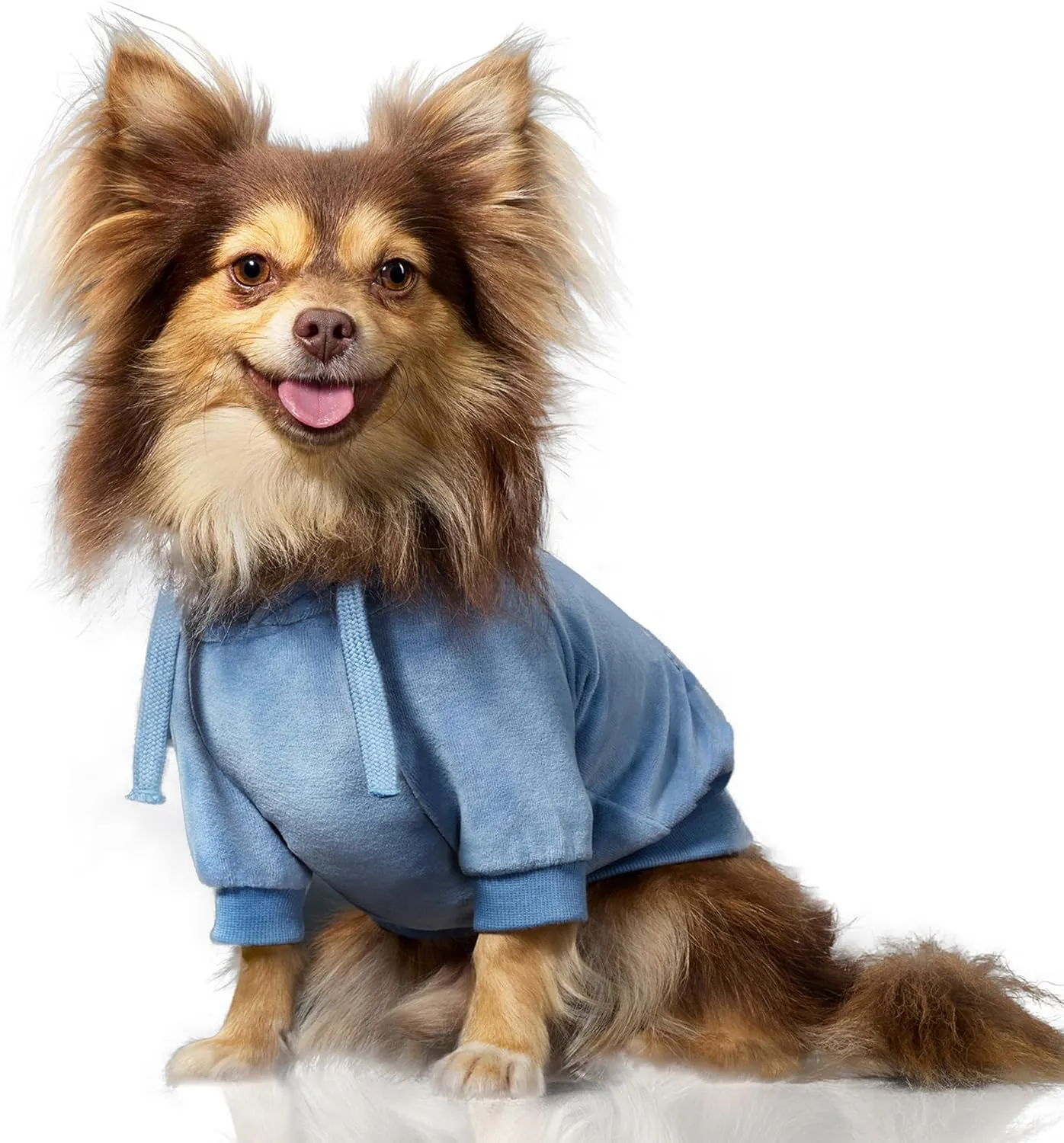 Organic Cotton Velour Dog Hoodie Pet Coat for Small, Medium and Large Dogs, Faded Denim, X-Small