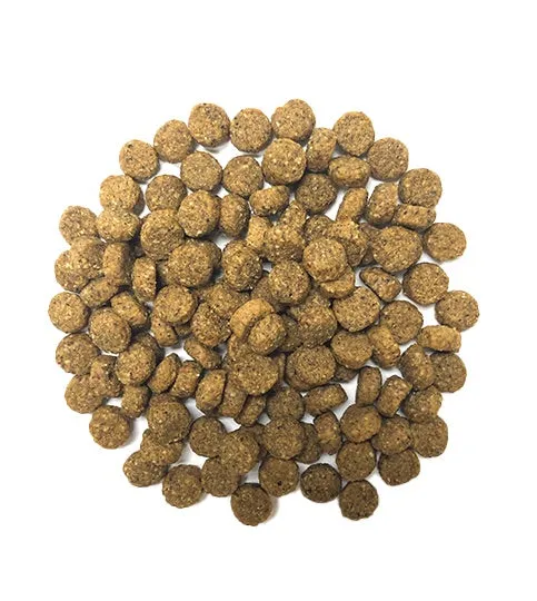 Perfect Balance Pork Meal Recipe with Ancient Grains Dog Food