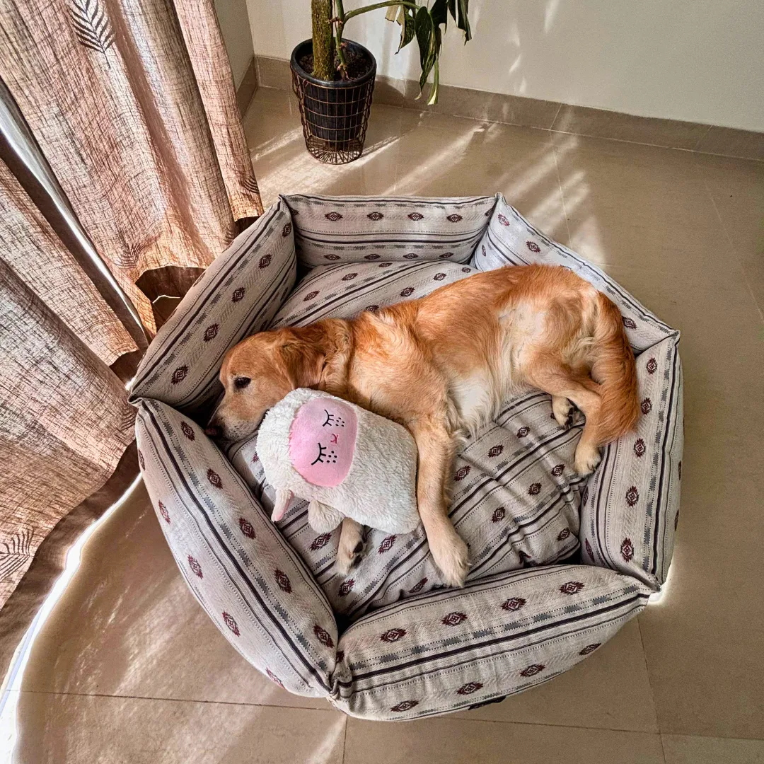 PoochMate Ivory Cotton Jacquard Hexagon Dog Bed