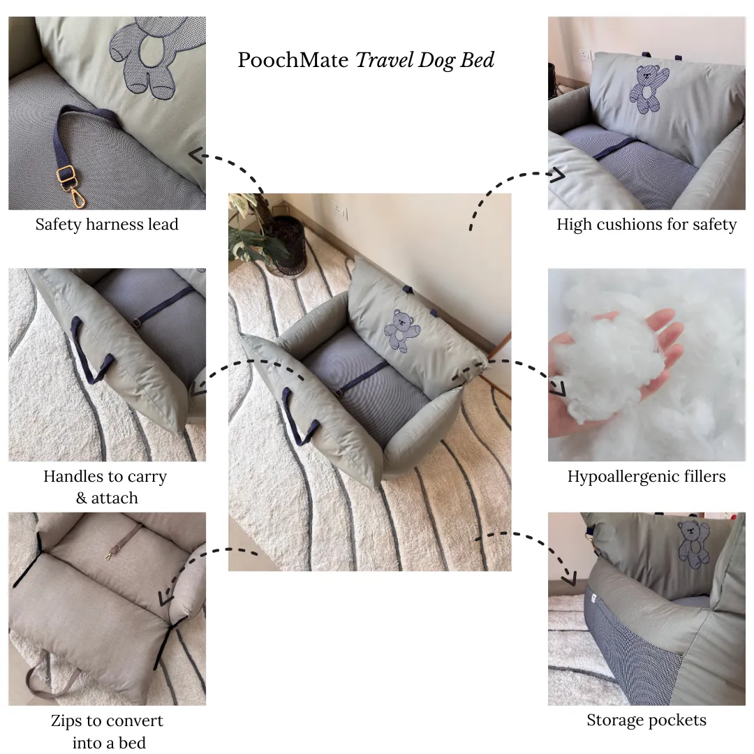 PoochMate Travel Bed for Medium Dogs : Mint & Blue Teddy