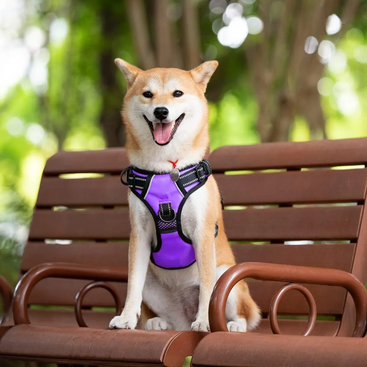 PoyPet 2019 Upgraded No Pull Dog Harness with 4 Snap Buckles, Reflective with Front & Back 2 Leash Hooks and an Easy Control Handle [NO Need Go Over Dogs Head] (Purple,M)