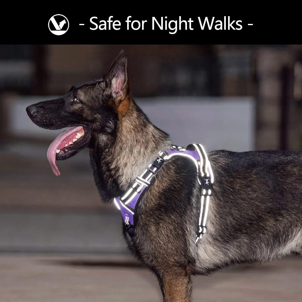 PoyPet 2019 Upgraded No Pull Dog Harness with 4 Snap Buckles, Reflective with Front & Back 2 Leash Hooks and an Easy Control Handle [NO Need Go Over Dogs Head] (Purple,M)