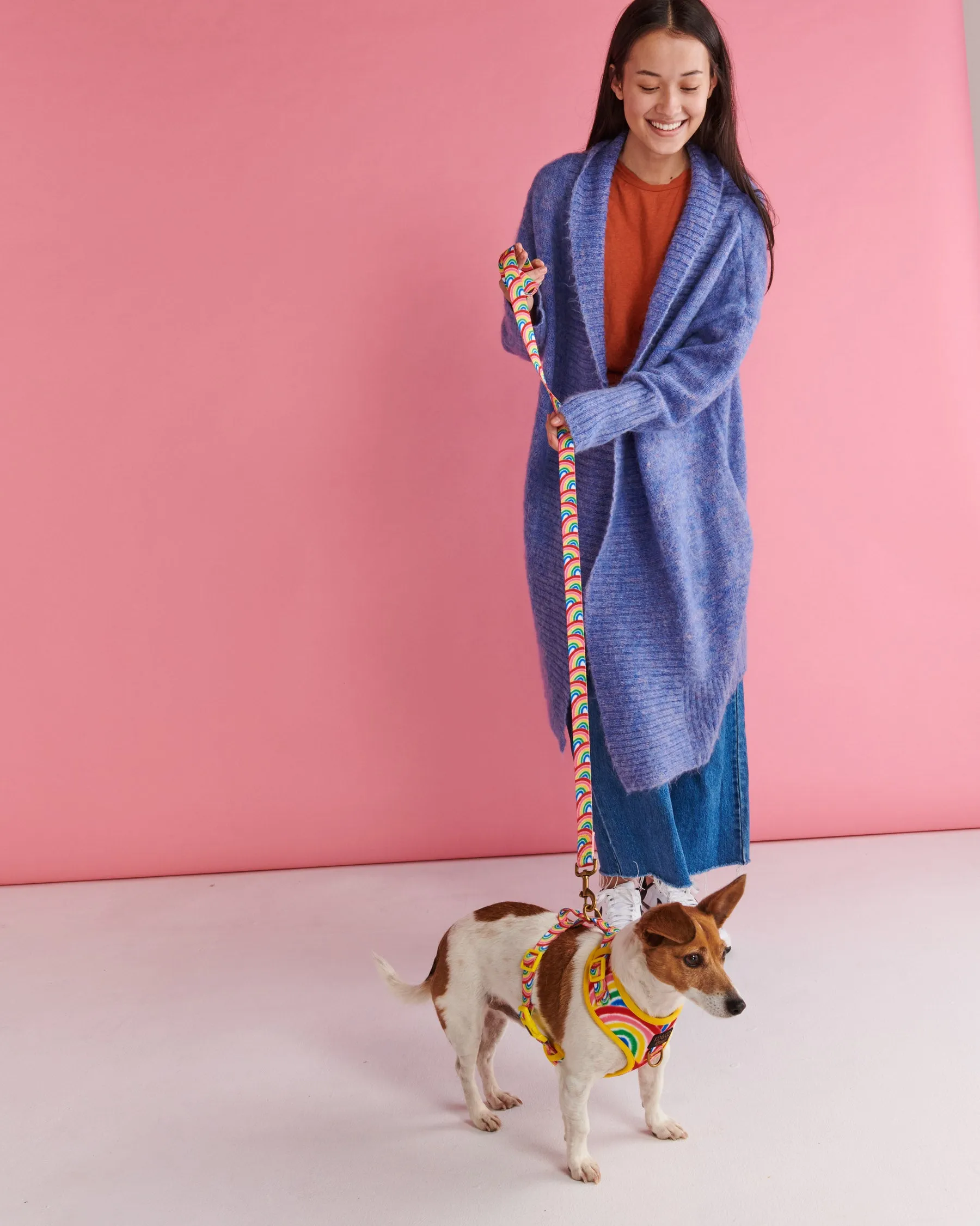 Rainbow Spray Dog Lead