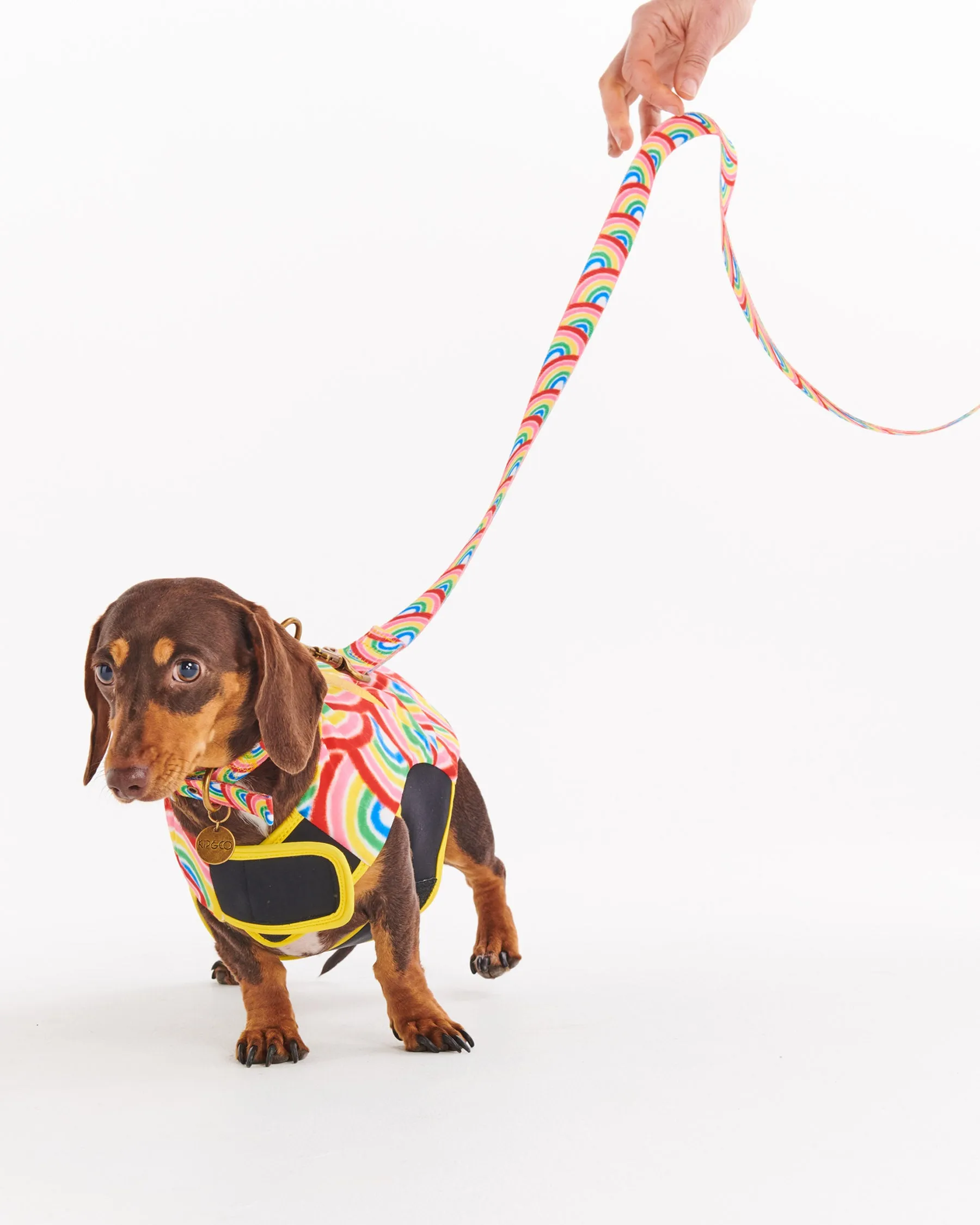 Rainbow Spray Dog Lead