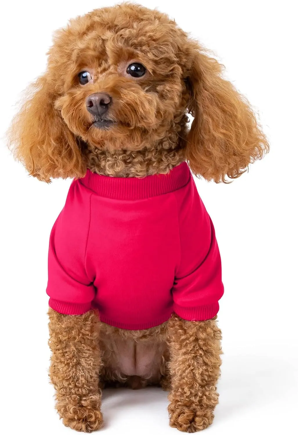 Rocky Thermal Jacket Clothes Fleece Lined Sweater for Dogs, Puppies, Warm Coat Bodysuit Onesie One Piece Vest Pet Jammies with Leg Warmers for Small, Medium, Large Dogs Cats (Coral, XX-Small)