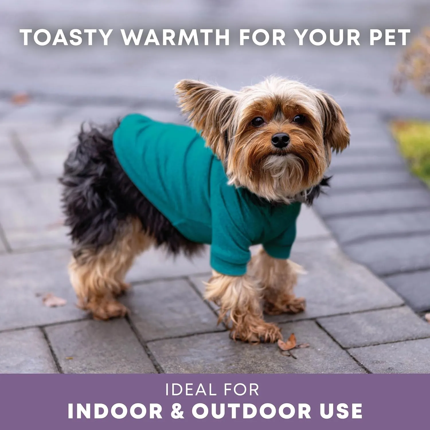 Rocky Thermal Jacket Clothes Fleece Lined Sweater for Dogs, Puppies, Warm Coat Bodysuit Onesie One Piece Vest Pet Jammies with Leg Warmers for Small, Medium, Large Dogs Cats (Jade, X-Small)