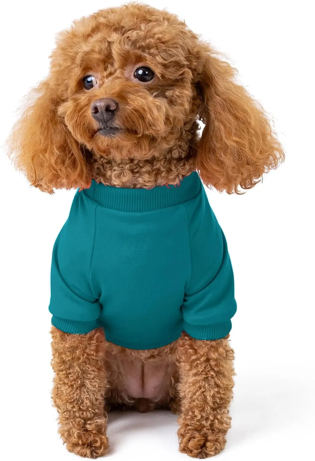 Rocky Thermal Jacket Clothes Fleece Lined Sweater for Dogs, Puppies, Warm Coat Bodysuit Onesie One Piece Vest Pet Jammies with Leg Warmers for Small, Medium, Large Dogs Cats (Jade, X-Small)