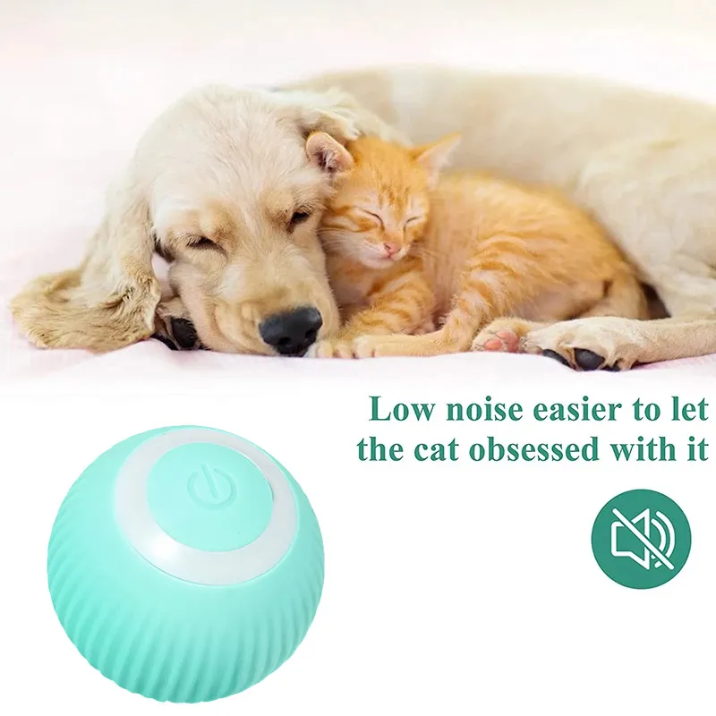Rolling Ball Toy For Small Dogs and Cats