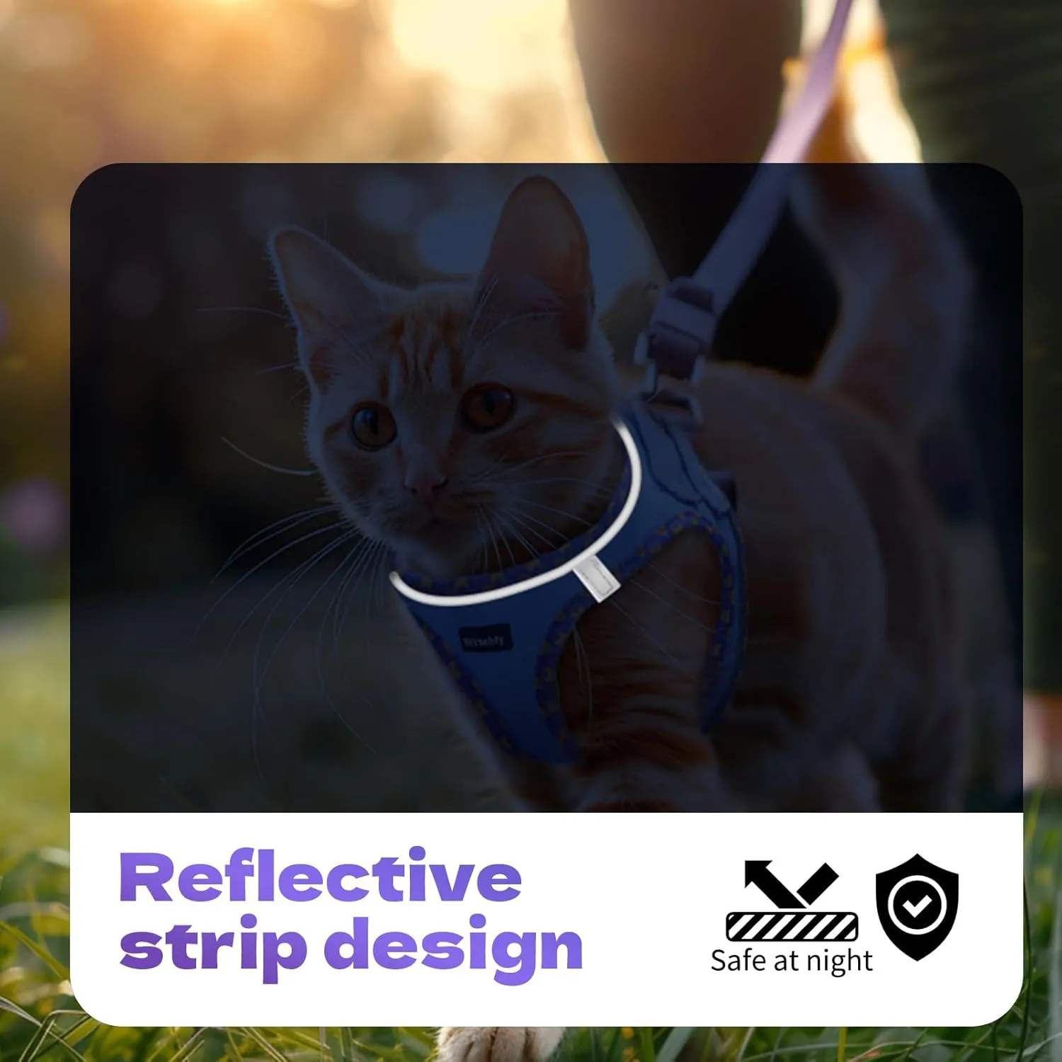 Rttochfy Cat Harness and Leash Set, Escape Proof Kitten Harness, Soft and Breathable Vest with Reflective Strip, Easy to Wear for Cats Walking and Traveling (Pink, XS)