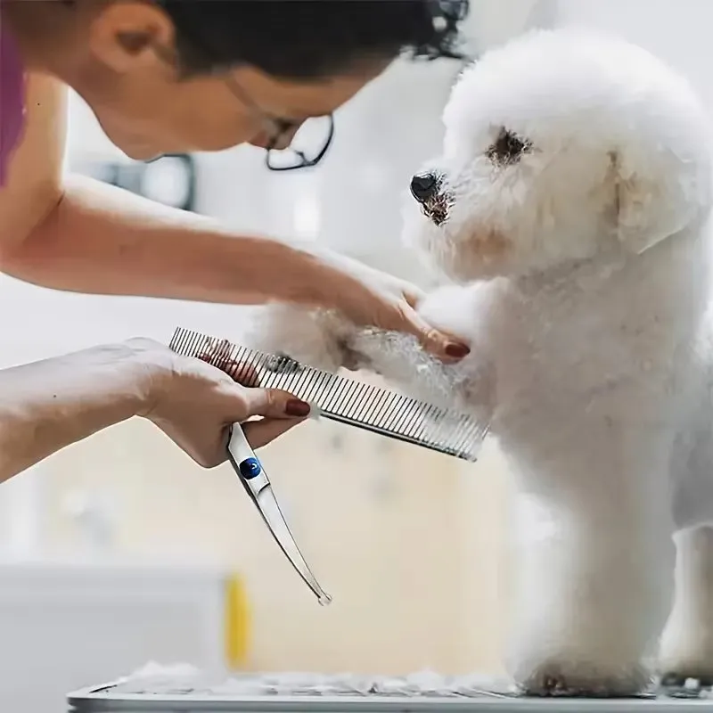 Stainless Steel Dog Grooming Scissors Set