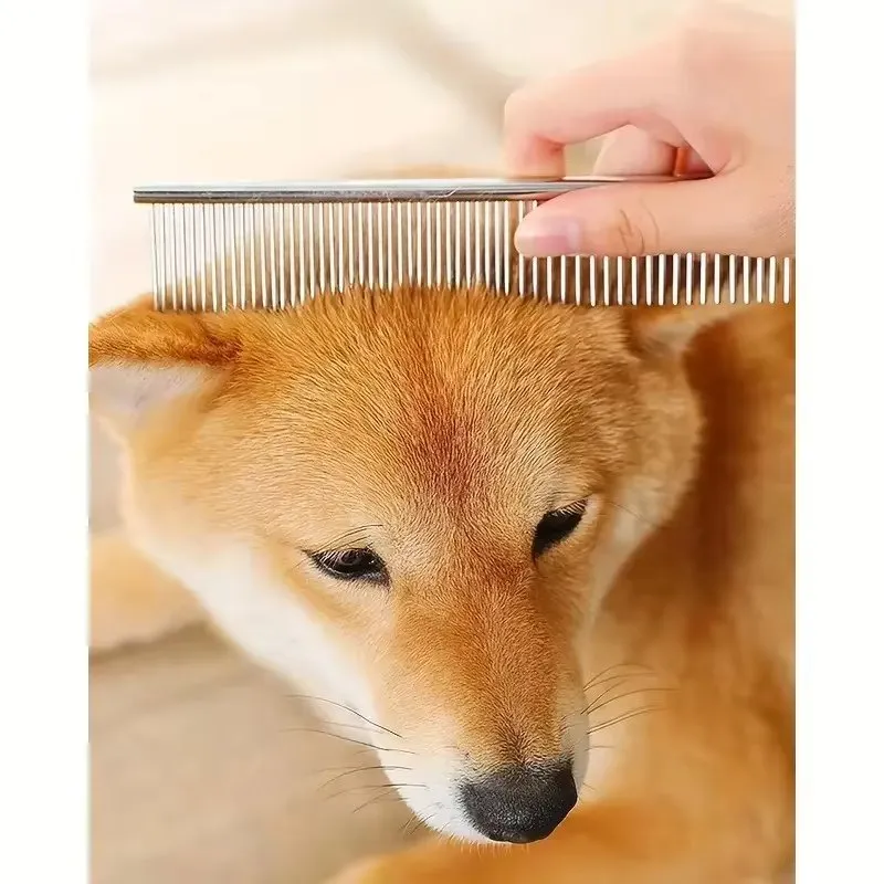 Stainless Steel Dog Grooming Scissors Set