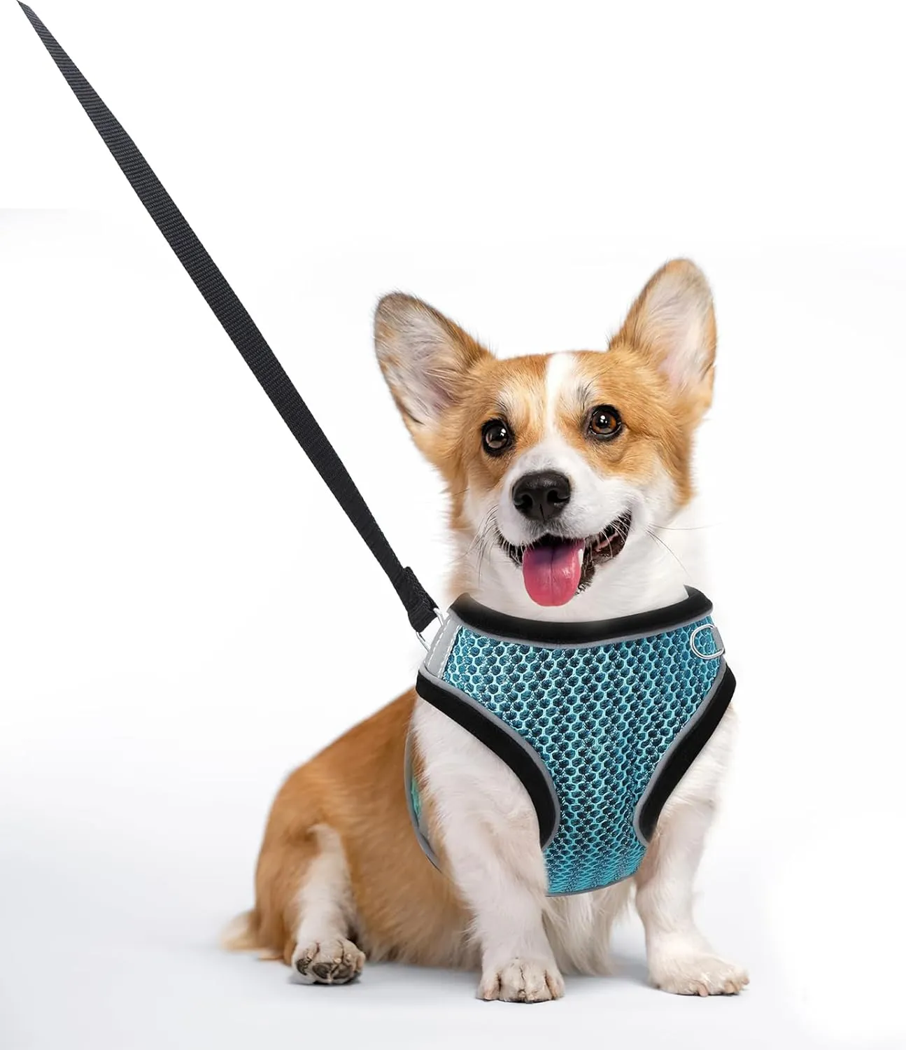 Step-in Air Dog Harness, Cat Harness and Leash, Reflective Vest Harnesses, Adjustable Kitten Harness for Large Small Cats Dogs, Lake Blue XS