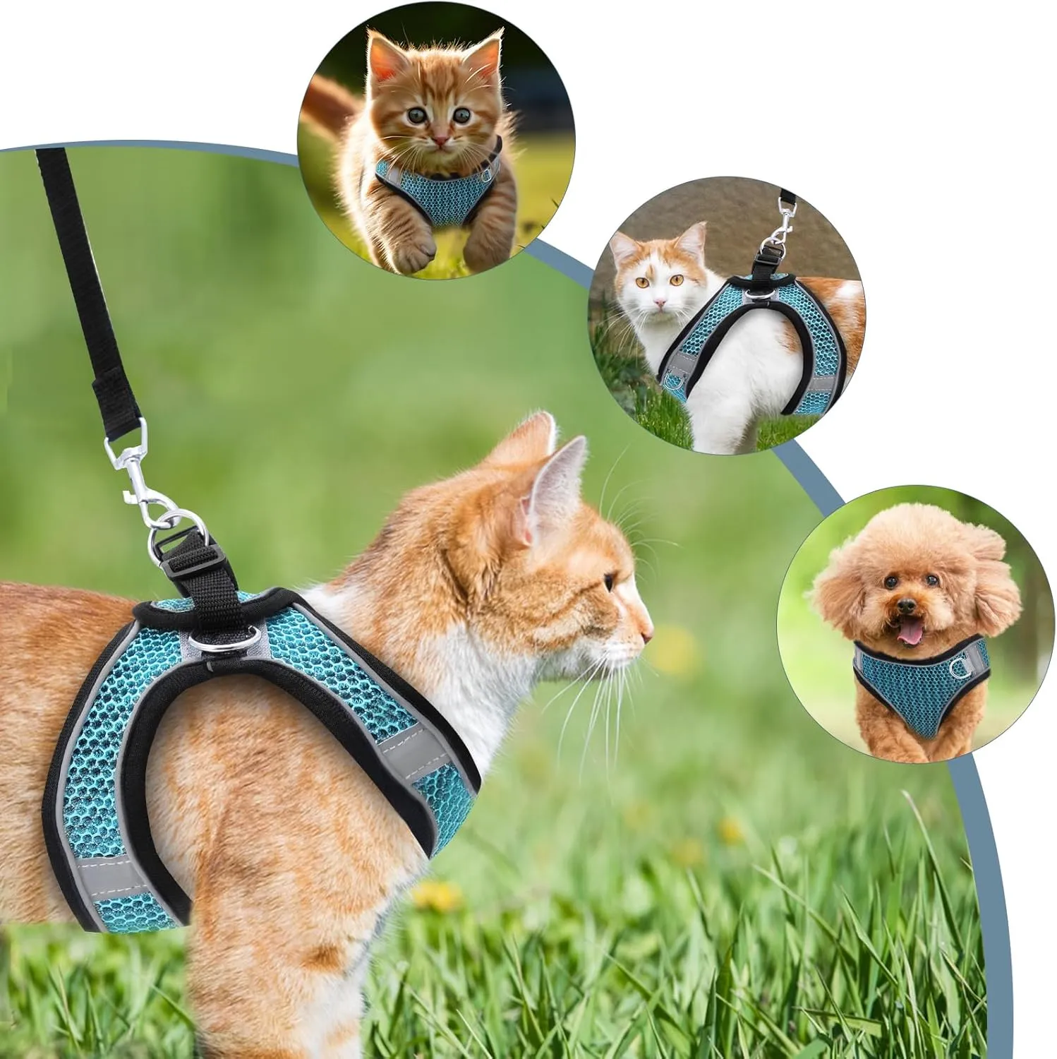 Step-in Air Dog Harness, Cat Harness and Leash, Reflective Vest Harnesses, Adjustable Kitten Harness for Large Small Cats Dogs, Lake Blue XS
