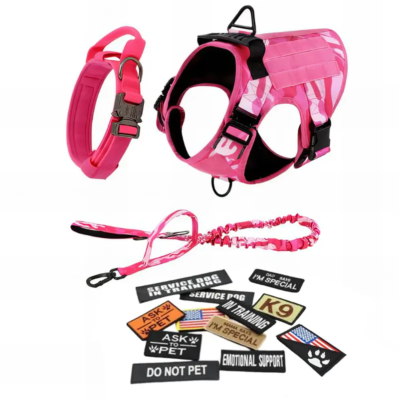 Stylish Dog Harness With Accessories
