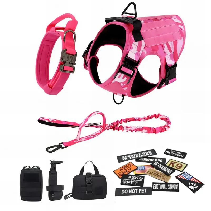 Stylish Dog Harness With Accessories