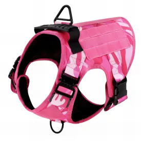 Stylish Dog Harness With Accessories